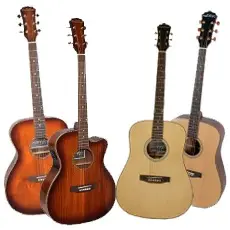 Acoustic Guitars