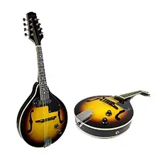 Mandolins