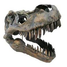 Skull Ornaments