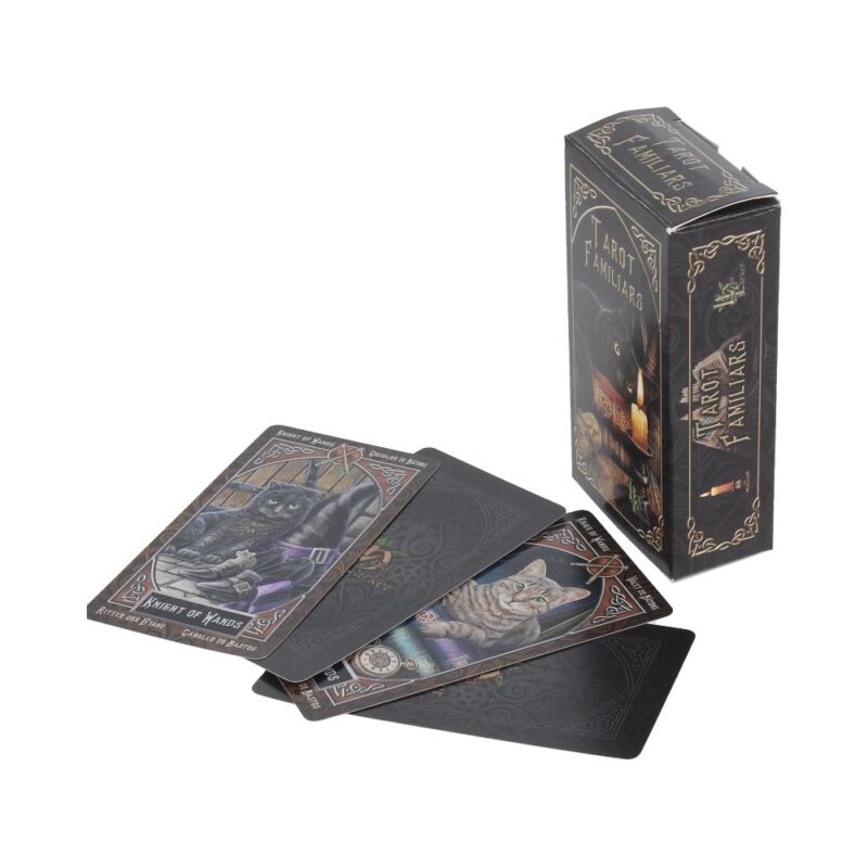 Familiar Gothic Fantasy Tarot Cards by Lisa Parker Card Decks 3