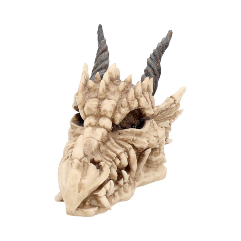Fantasy Gothic Dragon Skull Trinket Box Boxes & Storage 3