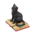 Eclipse Cat Spell Book Figurine Wiccan Witch Gothic Ornament Figurines Small (Under 15cm) 4