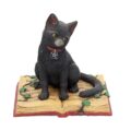 Eclipse Cat Spell Book Figurine Wiccan Witch Gothic Ornament Figurines Small (Under 15cm) 2
