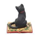 Eclipse Cat Spell Book Figurine Wiccan Witch Gothic Ornament Figurines Small (Under 15cm) 8