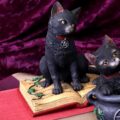 Eclipse Cat Spell Book Figurine Wiccan Witch Gothic Ornament Figurines Small (Under 15cm) 10