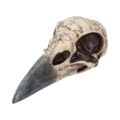 Edgar’s Raven Skull Figurine Edgar Allen Poe Ornament Figurines Medium (15-29cm) 4