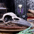 Edgar’s Raven Skull Figurine Edgar Allen Poe Ornament Figurines Medium (15-29cm) 10
