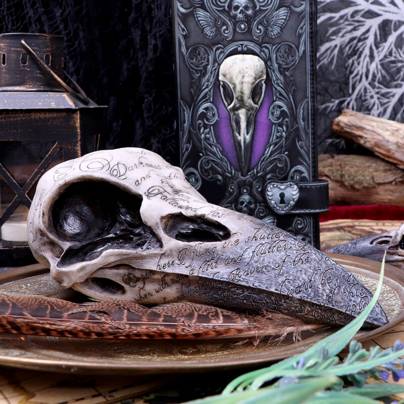 Edgar’s Raven Skull Figurine Edgar Allen Poe Ornament Figurines Medium (15-29cm) 9