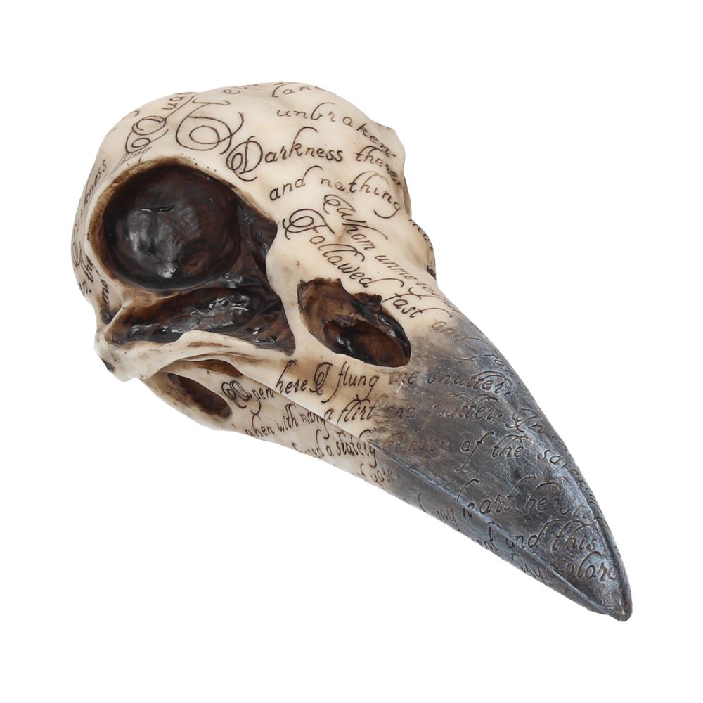 Edgar’s Raven Skull Figurine Edgar Allen Poe Ornament Figurines Medium (15-29cm)