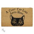 Quirky Black Design Crazy Cat Lady Doormat Doormats 4