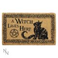 A Witch Lives Here Witchcraft Familiar Doormat Doormats 4