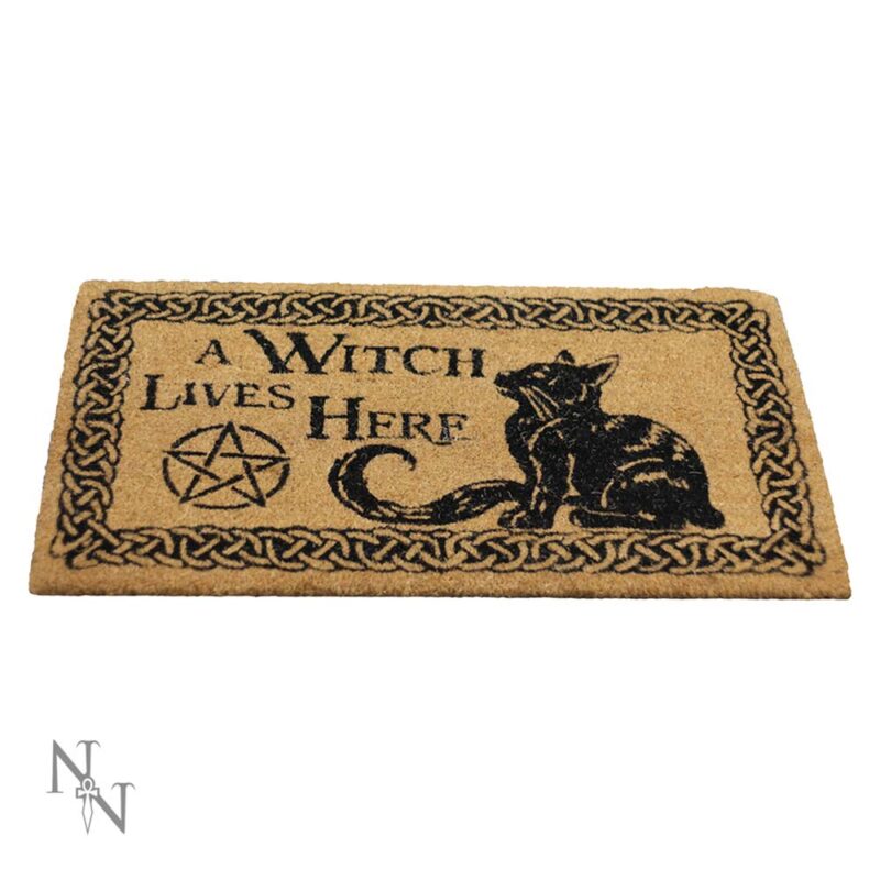 A Witch Lives Here Witchcraft Familiar Doormat Doormats 5