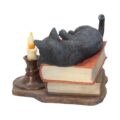 Witching Hour Cat Figurine by Lisa Parker Black Cat & Candle Ornament Figurines Medium (15-29cm) 6