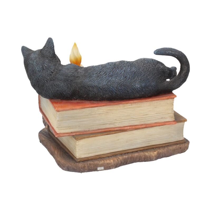 Witching Hour Cat Figurine by Lisa Parker Black Cat & Candle Ornament Figurines Medium (15-29cm) 7