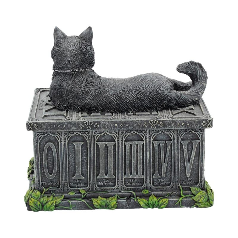 Fortune’s Watcher Cat Familiar Tarot Box Boxes & Storage 7