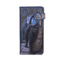 Lisa Parker A Brush With Magick Black Cat Purse Navy 18.5cm Gifts & Games 10