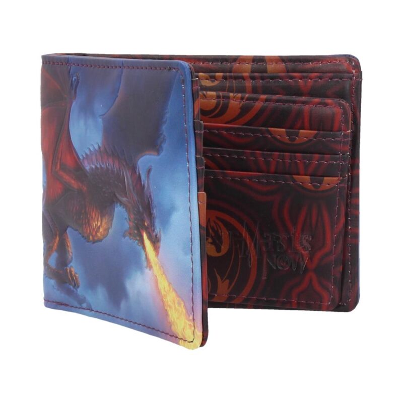 James Ryman Fire From The Sky Dragon Wallet Gifts & Games 3