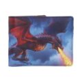 James Ryman Fire From The Sky Dragon Wallet Gifts & Games 10