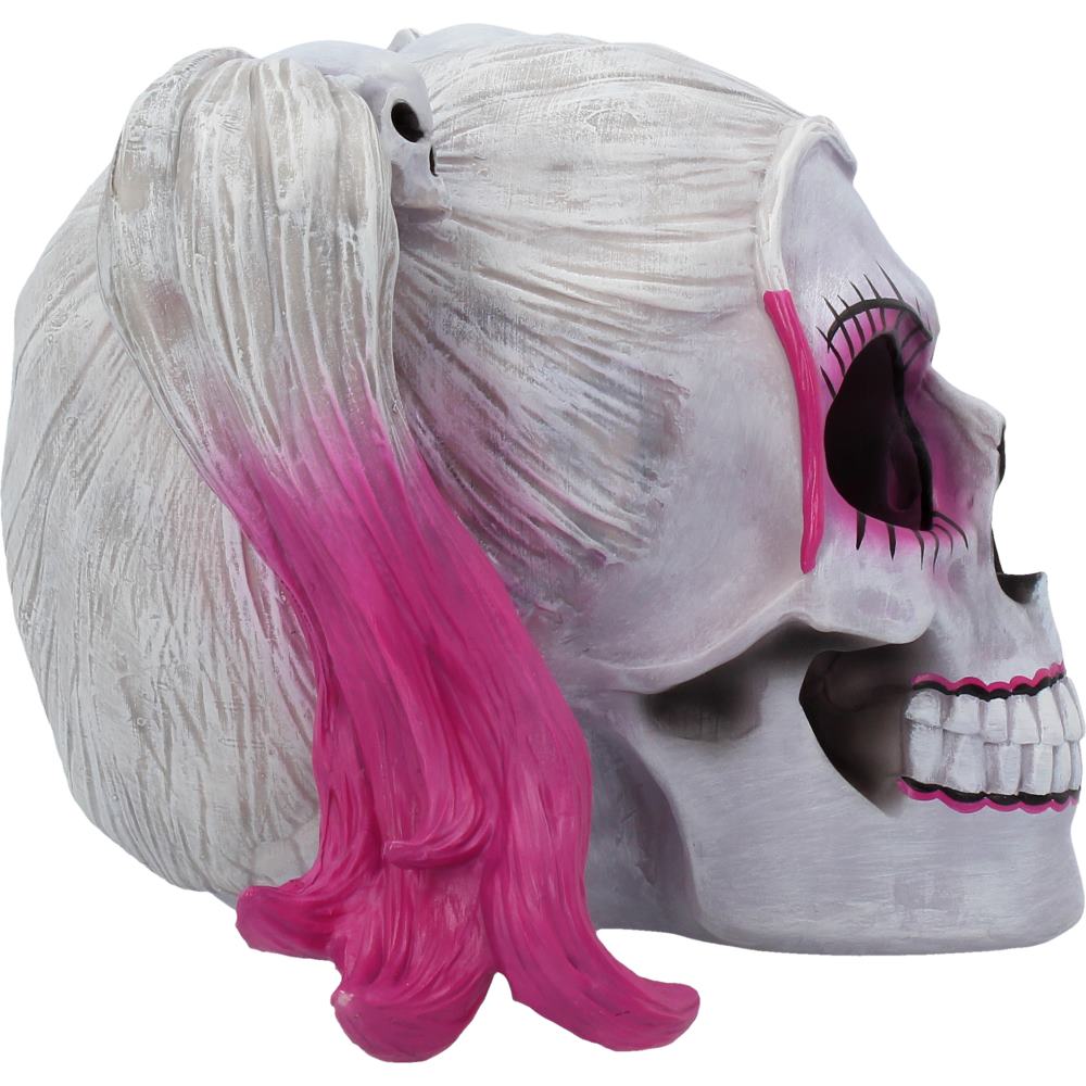Nemesis Now Little Monster Pigtailed Troublemaker Skull 20.6cm Figurines Medium (15-29cm) 13 Nemesis Now Little Monster Pigtailed Troublemaker Skull 20.6cm Figurines Medium (15-29cm) 13