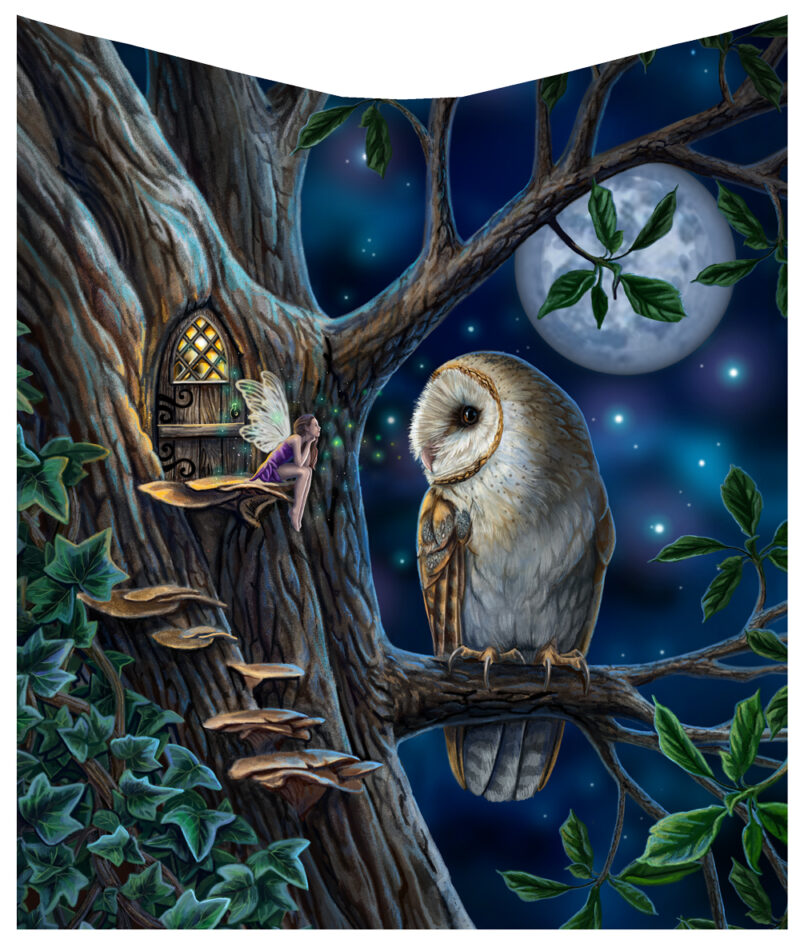 Lisa Parker Fairy Tales Owl and Fairy Blanket Homeware 3