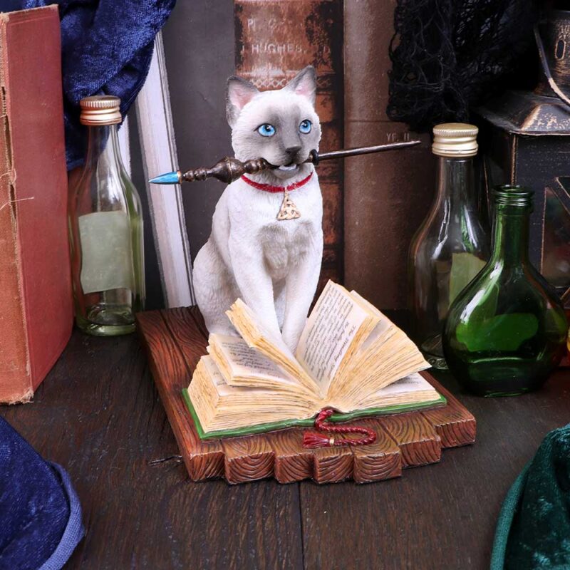 Lisa Parker Hocus Pocus Cat Familiar Ornament Figurines Medium (15-29cm) 9