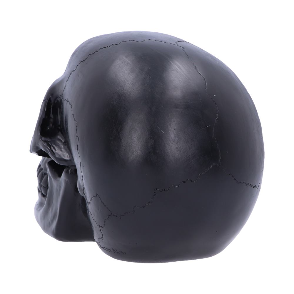 Nemesis Now Geode Skull Black Red Gothic Glitter Skull Figurine 17cm Figurines Medium (15-29cm) 7 Nemesis Now Geode Skull Black Red Gothic Glitter Skull Figurine 17cm Figurines Medium (15-29cm) 7