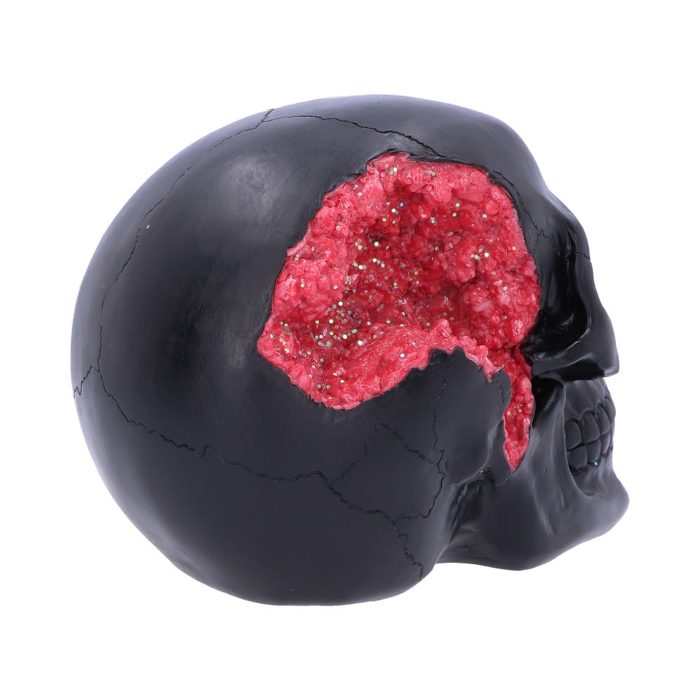 Nemesis Now Geode Skull Black Red Gothic Glitter Skull Figurine 17cm Figurines Medium (15-29cm) 9 Nemesis Now Geode Skull Black Red Gothic Glitter Skull Figurine 17cm Figurines Medium (15-29cm) 9