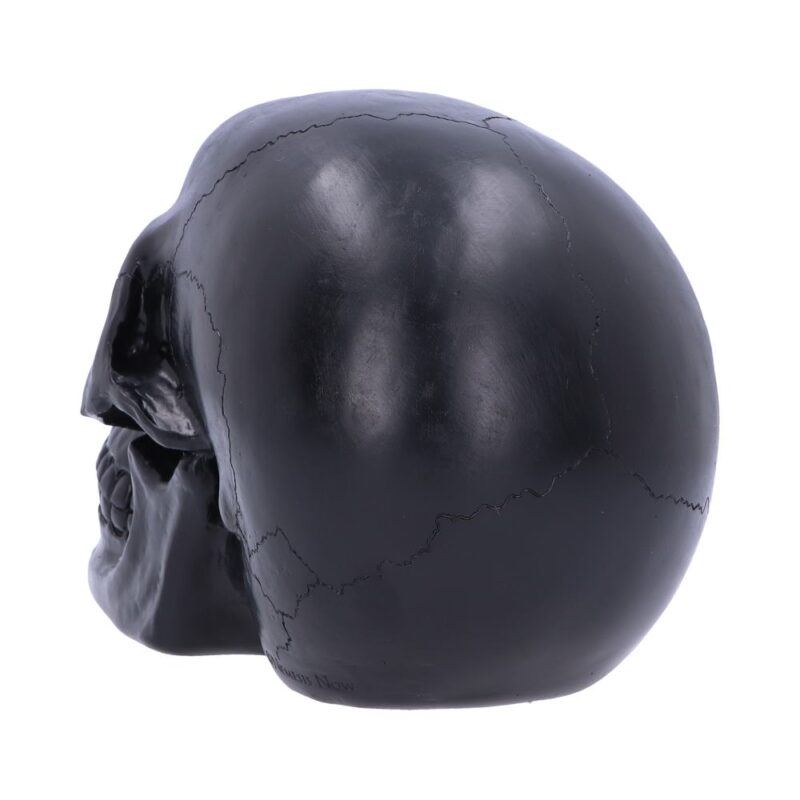 Geode Skull Black Green Gothic Glitter Skull Figurine Figurines Medium (15-29cm) 5