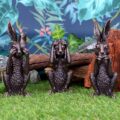 See No, Hear No, Speak No Evil Bronze Hare Figurines Figurines Small (Under 15cm) 10