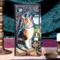 Lisa Parker Adventure Awaits Calico Cat Ship Embossed Purse Gifts & Games 4