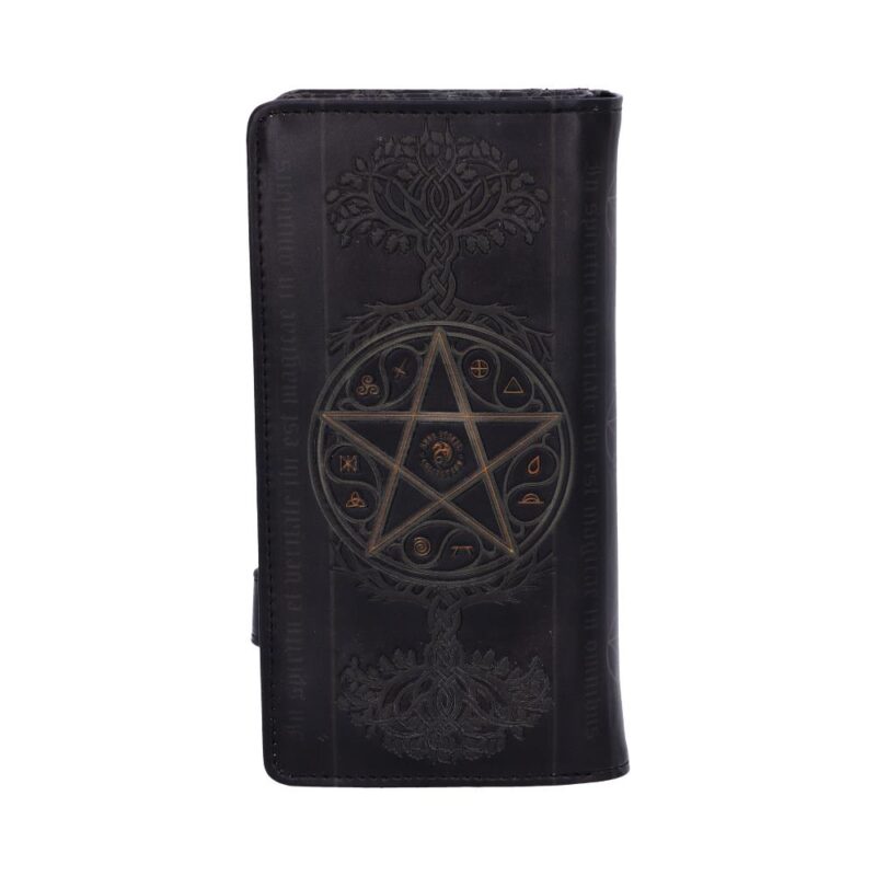 Anne Stokes The Summoning Witch and Dragon Embossed Purse Gifts & Games 5