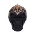 Officially Licensed James Ryman Spine Head Skull Skeleton Ornament Figurines Medium (15-29cm) 4