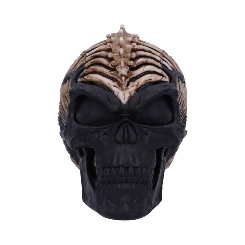 Officially Licensed James Ryman Spine Head Skull Skeleton Ornament Figurines Medium (15-29cm) 3