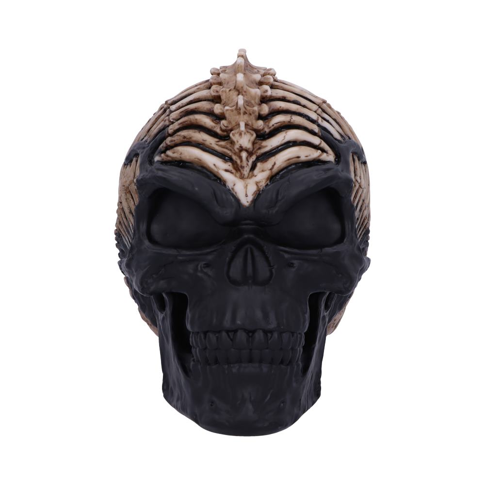 Officially Licensed James Ryman Spine Head Skull Skeleton Ornament Figurines Medium (15-29cm) 2
