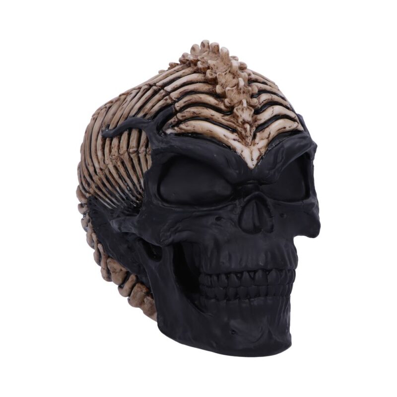Officially Licensed James Ryman Spine Head Skull Skeleton Ornament Figurines Medium (15-29cm)