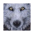 Lisa Parker Guardian of the Fall White Autumn Wolf Wall Plaque Home Décor 10