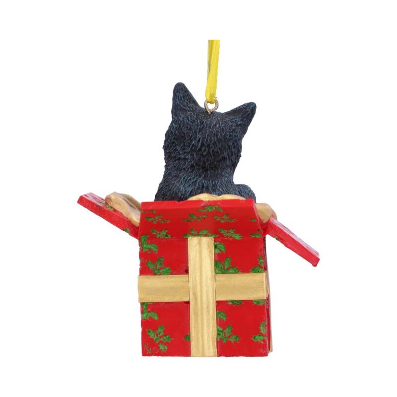 Lisa Parker Present Cat Hanging Ornament 9cm Christmas Decorations 5