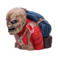 Iron Maiden The Trooper Bust Box (Small) 12cm Boxes & Storage 4