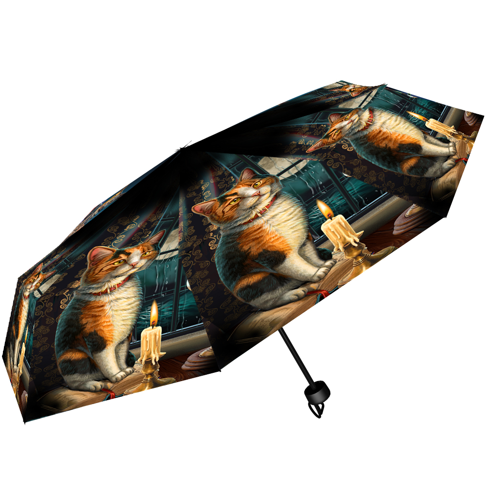 Lisa Parker Adventure Awaits Umbrella. Gifts & Games