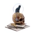 Lisa Parker Spirits of Salem Black Cat Witch’s Familiar Snow Globe Homeware 10