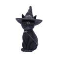 Purrah Witch Cat Figurine 30cm (Large) Figurines Large (30-50cm) 2