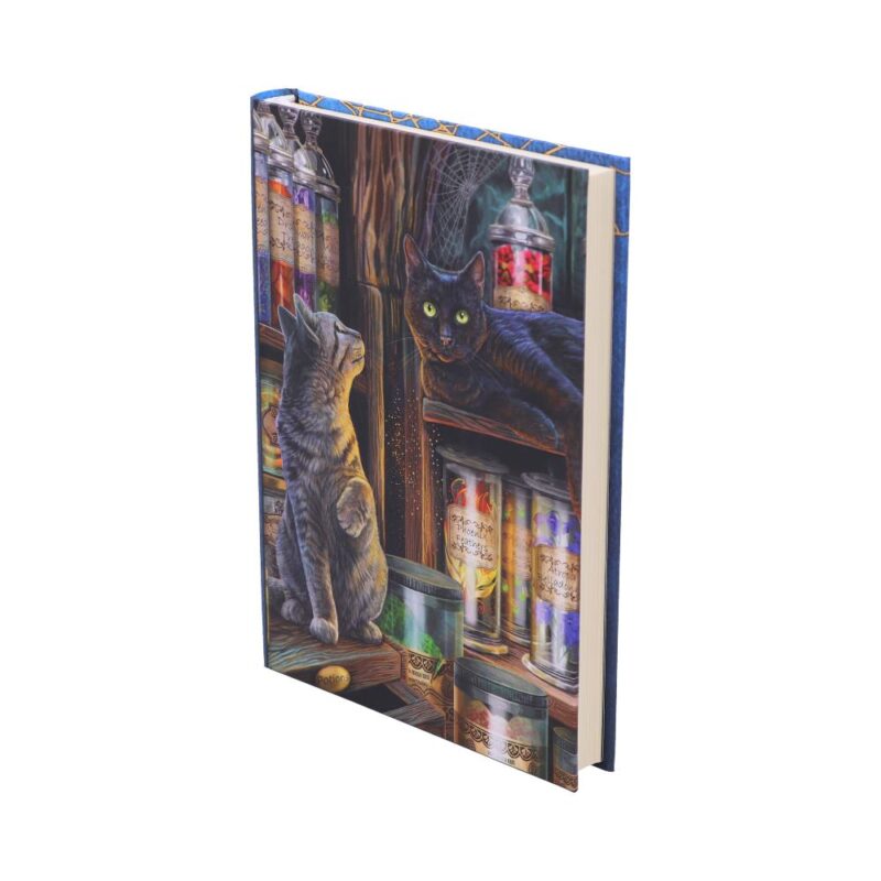 Lisa Parker Magical Emporium Potion Store A5 Journal 17cm Gifts & Games 3