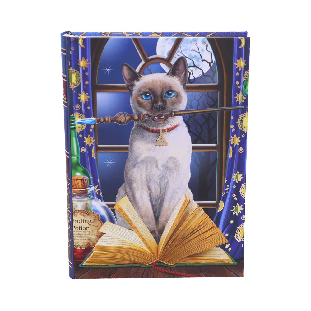 Lisa Parker Hocus Pocus Witchy Cat Journal 17cm Gifts & Games