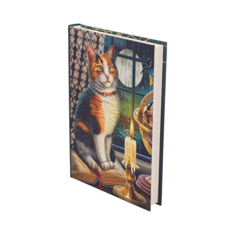 Lisa Parker Adventure Awaits Calico Cat A5 Journal 17cm Gifts & Games 3