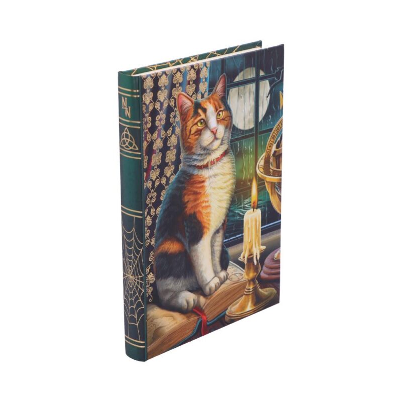 Lisa Parker Adventure Awaits Calico Cat A5 Journal 17cm Gifts & Games 7