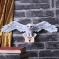 Harry Potter Hedwig Owl Wall Plaque 45cm Home Décor 4