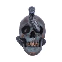 Nemesis Now Serpentine Fate Gothic Snake Skull 19cm Figurines Medium (15-29cm) 2