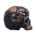 Destiny Palmistry Skull 18cm Figurines Medium (15-29cm) 8
