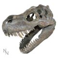 Tyrannosaurus Rex Dinosaur Skull Small 39.5cm Home Décor 2