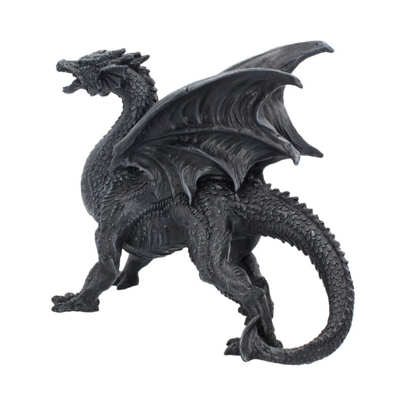 Nemesis Now Obsidian Dragon Watcher 31cm Figurines Large (30-50cm) 3